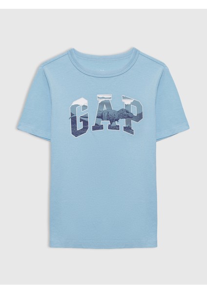 Erkek Çocuk Mavi Grafik Baskılı T-Shirt