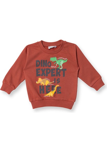 Erkek Bebek Sweatshirt Dinazor Baskılı Bisiklet Yaka Uzun Kol