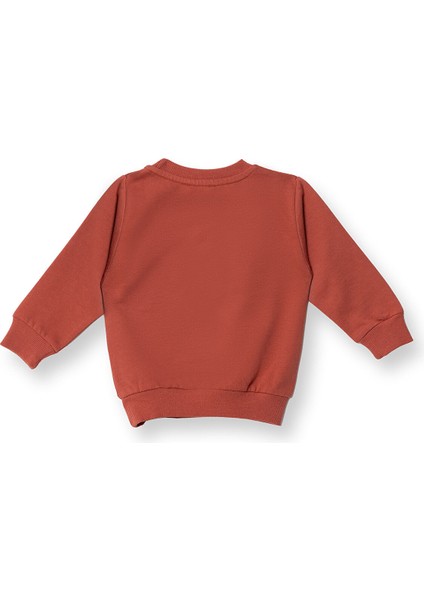 Erkek Bebek Sweatshirt Dinazor Baskılı Bisiklet Yaka Uzun Kol fiyatları