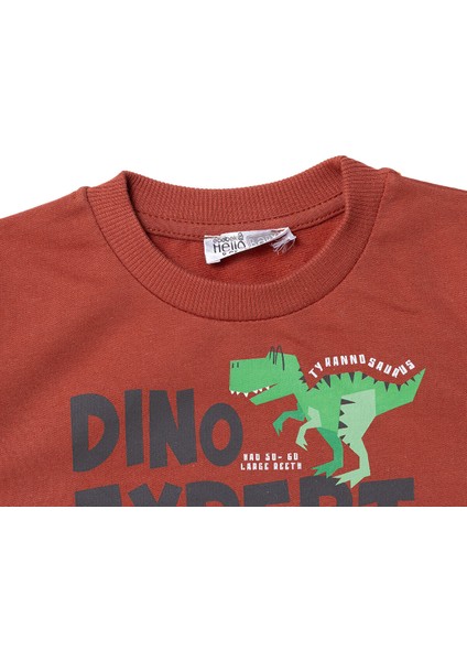 Erkek Bebek Sweatshirt Dinazor Baskılı Bisiklet Yaka Uzun Kol modelleri