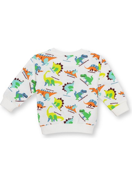 Erkek Bebek Basic Sweatshirt Şardonlu Bisiklet Yaka Uzun Kol fiyatları