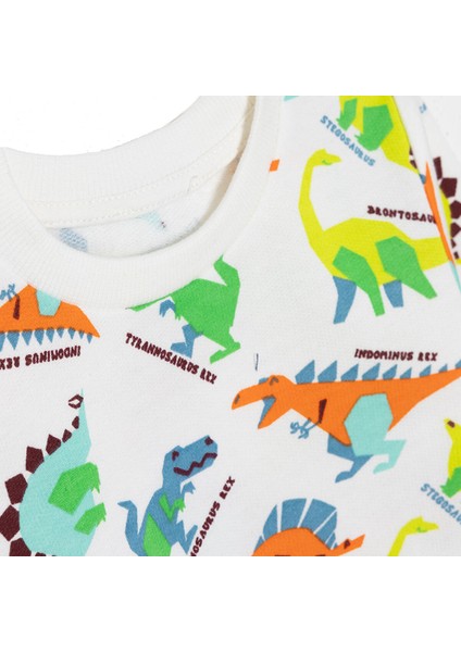 Erkek Bebek Basic Sweatshirt Şardonlu Bisiklet Yaka Uzun Kol modelleri