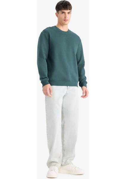 Regular Fit Bisiklet Yaka Basic Düz Kalın Sweatshirt T3777AZ25AU fiyatları