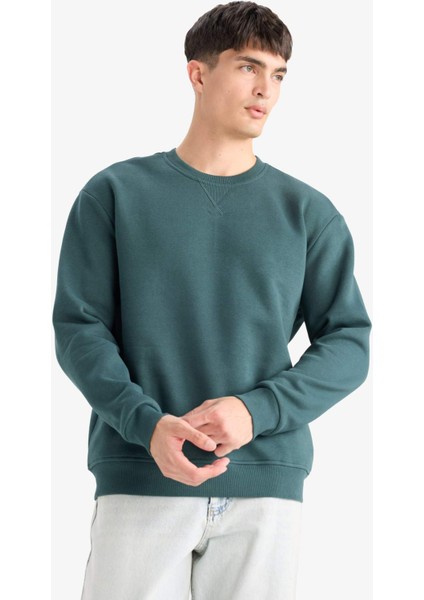 Regular Fit Bisiklet Yaka Basic Düz Kalın Sweatshirt T3777AZ25AU modelleri