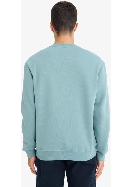 Regular Fit Bisiklet Yaka Basic Düz Kalın Sweatshirt T3777AZ25AU