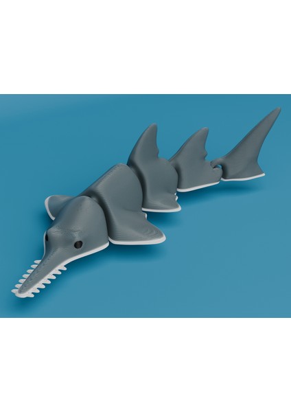 Yeni Li E Balığı (Marangoz Köpekbalığı) (Sadece Plastik Aparattır!!!)