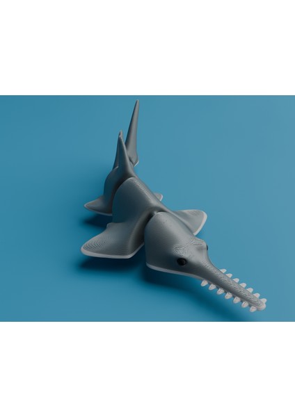 Yeni Li E Balığı (Marangoz Köpekbalığı) (Sadece Plastik Aparattır!!!) modelleri