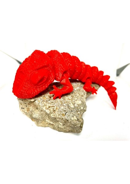 Yeni Li̇ Bukalemun (Sadece Plastik Aparattır!!!)