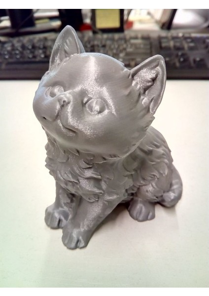 Yeni Kitten (Sadece Plastik Aparattır!!!)