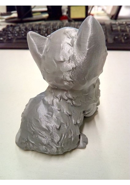 Yeni Kitten (Sadece Plastik Aparattır!!!) fiyatları