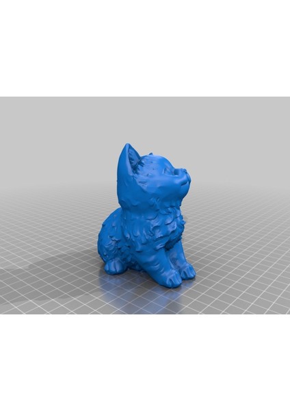 Yeni Kitten (Sadece Plastik Aparattır!!!) modelleri