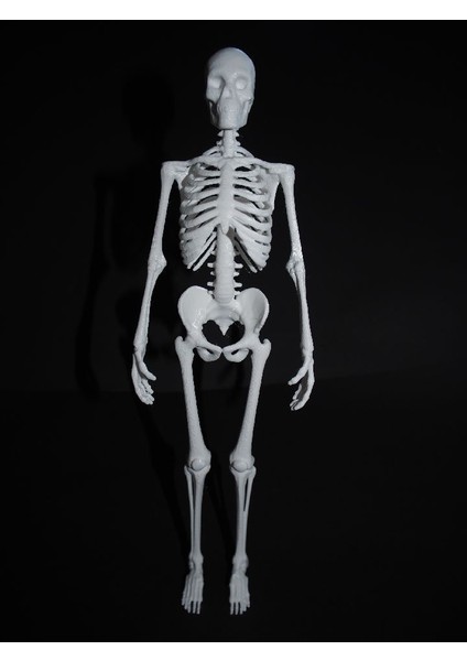 Yeni Iskelet (Sadece Plastik Aparattır!!!)
