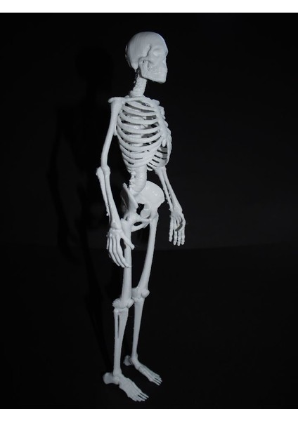 Yeni Iskelet (Sadece Plastik Aparattır!!!) modelleri