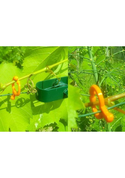 Yeni Bitkiler Için Tel Veya Kafes Üzerinde Domates Klipsi P (Sadece Plastik Aparattır!!!) fiyatları
