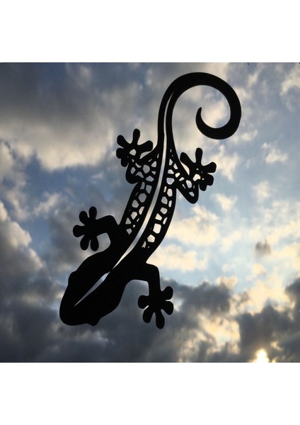 Yeni 2d Salamander (Sadece Plastik Aparattır!!!)