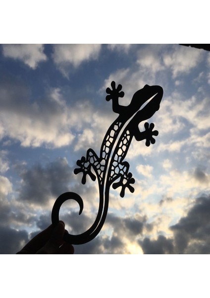 Yeni 2d Salamander (Sadece Plastik Aparattır!!!) fiyatları