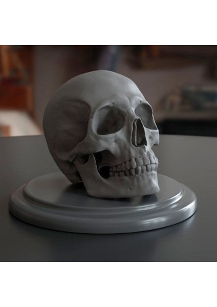 Yeni Insan Kafatasi (Sadece Plastik Aparattır!!!)