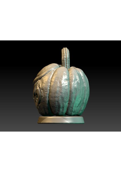 Yeni Kabak Avcısı (Sadece Plastik Aparattır!!!)