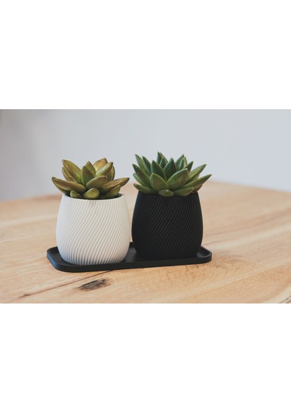 Yeni Modern Spiral Ekici (Sadece Plastik Aparattır!!!)