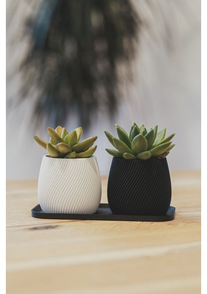 Yeni Modern Spiral Ekici (Sadece Plastik Aparattır!!!) fiyatları