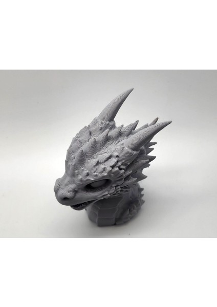 Yeni Bebek Dragon Büst (Sadece Plastik Aparattır!!!)
