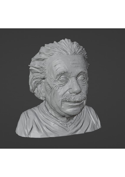 Yeni Albert Einstein Supportfree (Düşük Poli) (Sadece Plastik Aparattır!!!)