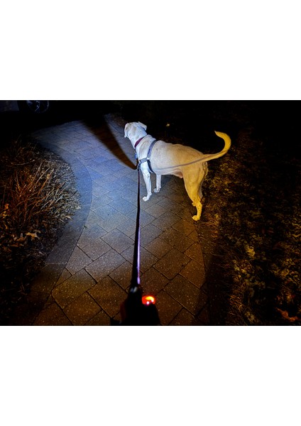 Yeni Köpek Kaka Torbası Dağıtıcı P (Sadece Plastik Aparattır!!!) fiyatları