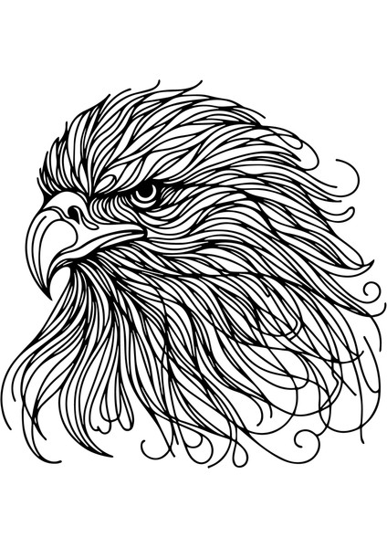 Yeni Sonsuz Koleksiyon "majesty" (Sadece Plastik Aparattır!!!)