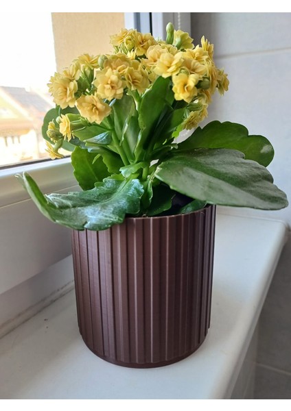 Yeni Basit Geometrik Bitki Pot (Sadece Plastik Aparattır!!!) fiyatları