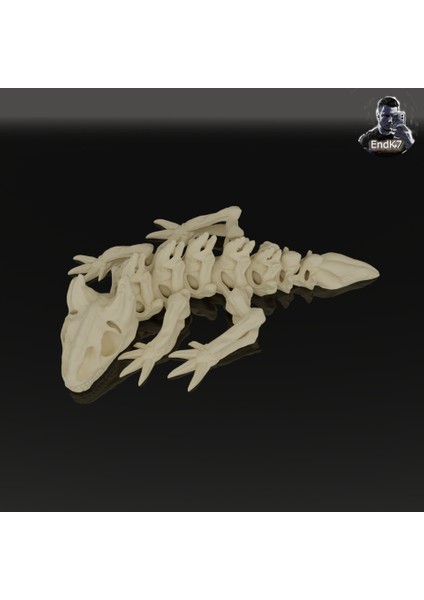 Yeni Iskelet Ejderha Anahtarlık - Li, Yerinde Baskı - Destek Yok (Sadece Plastik Aparattır!!!) modelleri