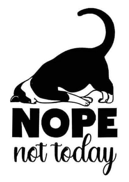 Yeni [huefege] Hayır Bugün Değil (Sadece Plastik Aparattır!!!)