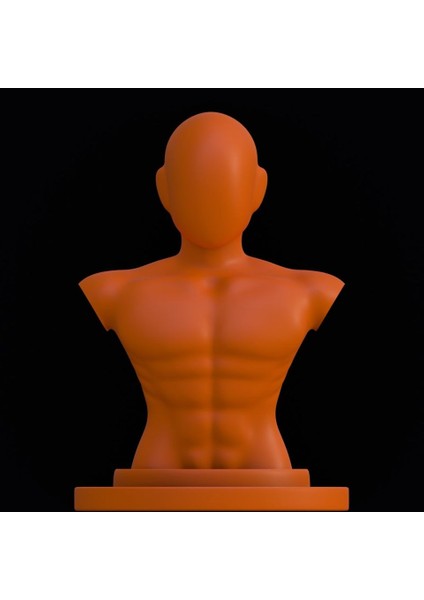 Yeni Erkek Bust_2 (Sadece Plastik Aparattır!!!)