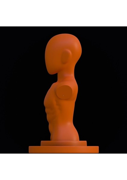 Yeni Erkek Bust_2 (Sadece Plastik Aparattır!!!) fiyatları