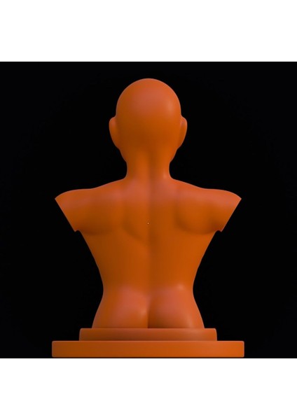 Yeni Erkek Bust_2 (Sadece Plastik Aparattır!!!) modelleri