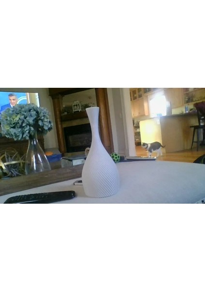 Yeni Spiral Vazo (Sadece Plastik Aparattır!!!)