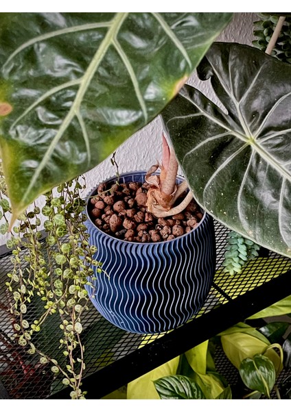 Yeni Geometrik Ekici 4 P (Sadece Plastik Aparattır!!!)