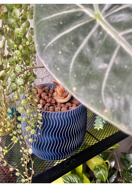 Yeni Geometrik Ekici 4 P (Sadece Plastik Aparattır!!!) fiyatları