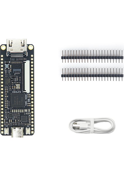 Tang Nano 9k Fpga Giştirme Kurulu Için Gowın GW1NR-9 Rısc-V Hd C Tipi Kablo ile (Yurt Dışından)