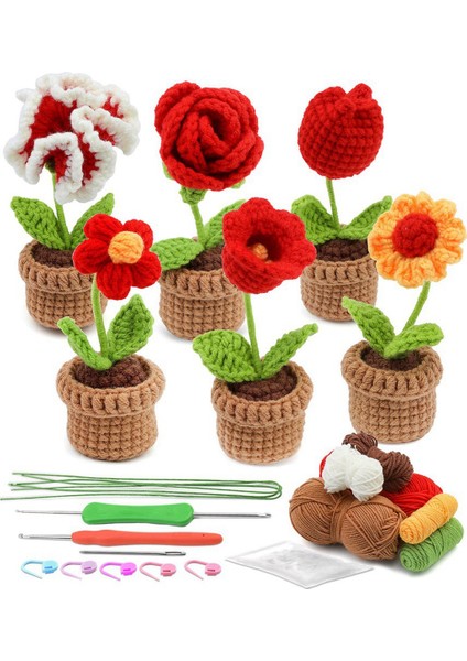 Yeni Başlayanlar Için Komple Tığ Seti, 6 Parça Tığ Saksı Çiçekleri Seti, Adım Adım Talimatlar Video Eğitimleri (Yurt Dışından)