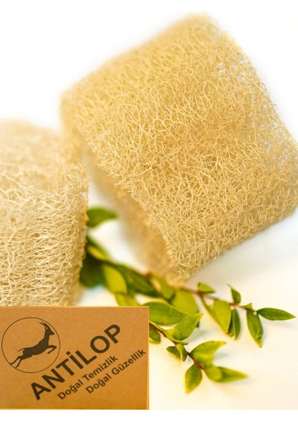 Hatay Naturel Antilop Organik Kabak Lifi Banyo Kesesi 2'li – Hipoalerjenik, Cilt Dostu ve Çok Amaçlı Kullanım