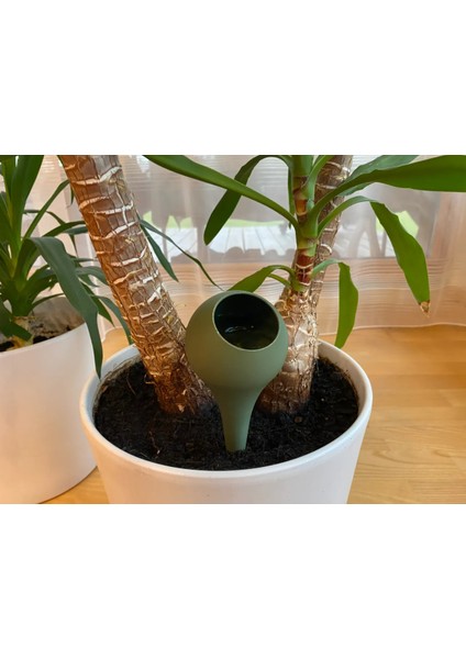 Yeni Bitki Sulama Küresi fırsatları