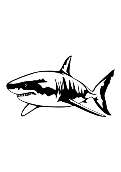 Yeni Big White Shark