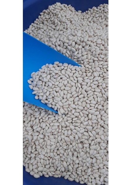 Kuru Fasülye Dermason Yerli Ürün 2 kg fırsatları