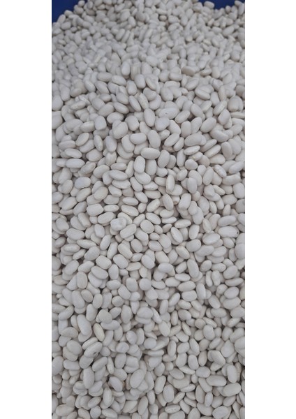 Kuru Fasülye Yerli Dermason 1 kg