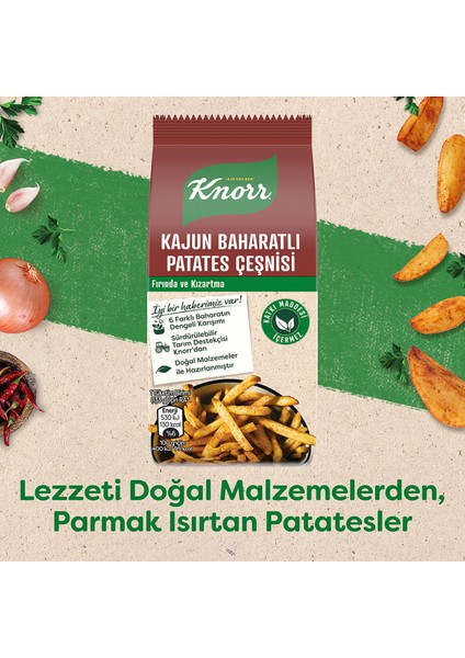 Kajun Baharatlı Patates Çeşnisi – Acılı ve Aromatik Lezzet, Pratik Sos Çeşnisi fiyatları