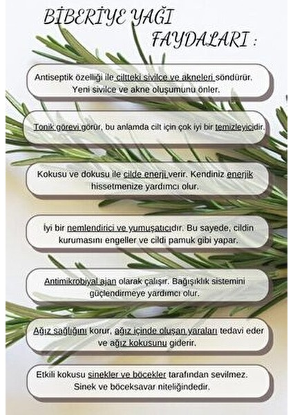 Biberiye Yağı %100 Bitkisel Saçların Hızlı Uzamasına Yardımcı ve Yıpranmış Saçlar Için Bakım Serumu indirimleri