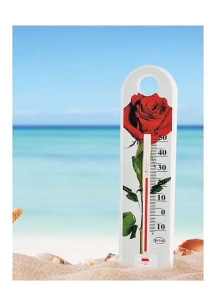 Gül Desenli Termometre fiyatları