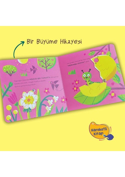 Artık Hazırım! Kelebek Olmaya (Oyunlu Kitap) modelleri