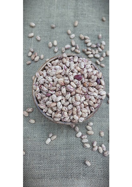 Yerli Barbunya Köy Mahsulü 1 kg fiyatları