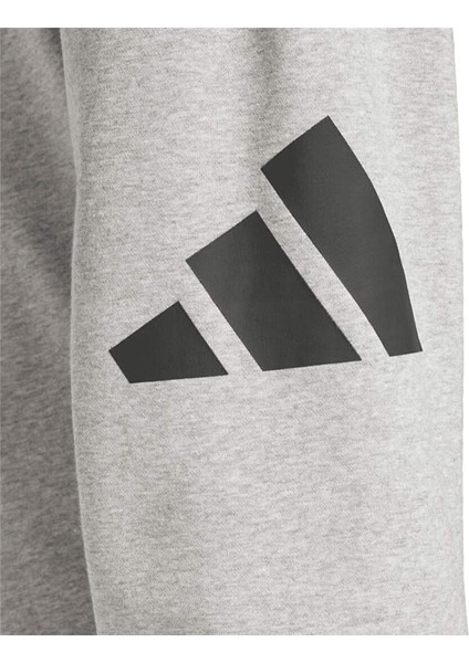 M Bl Ft Pt modelleri